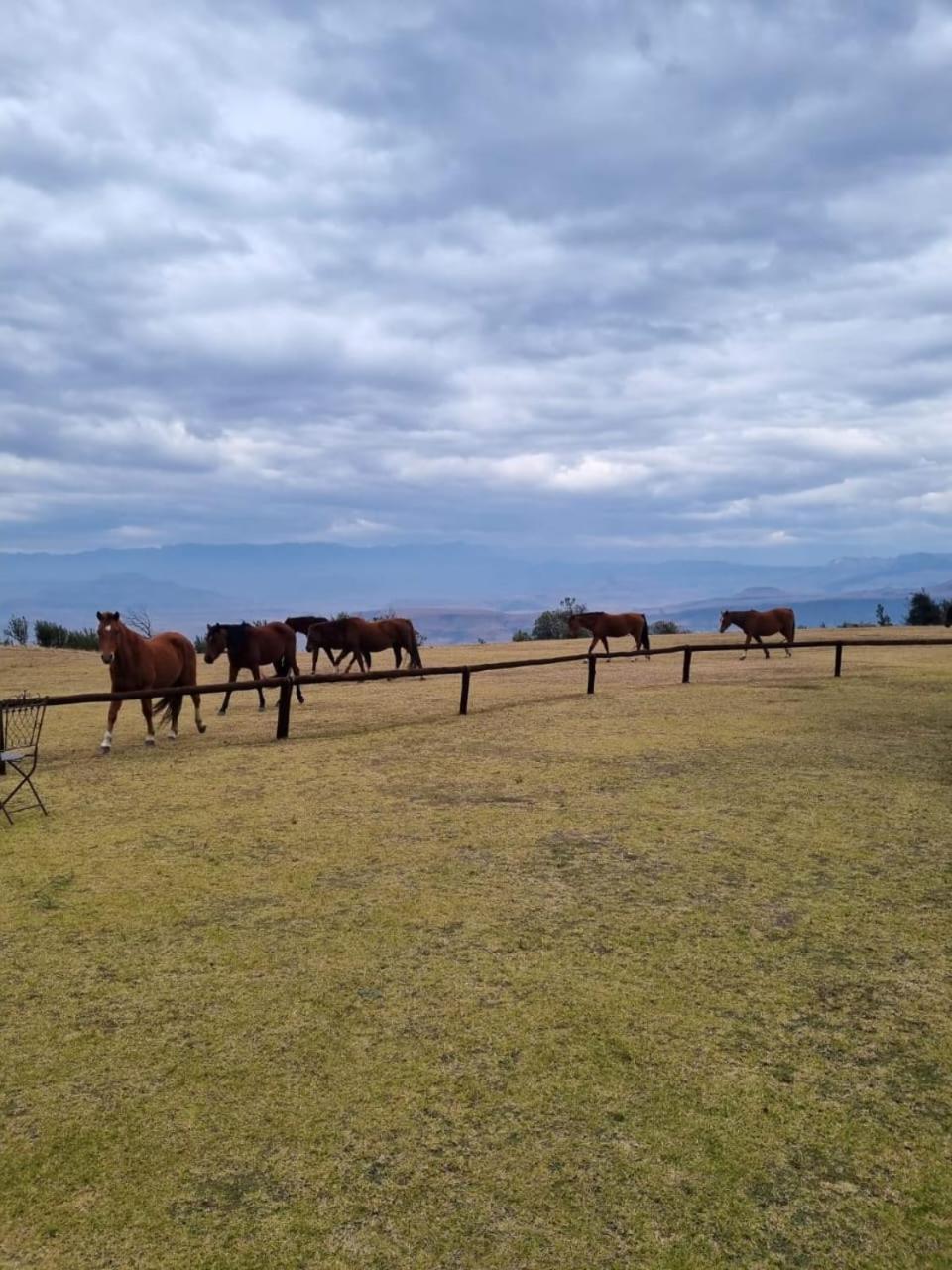 Гостьовий будинок Drakensberg Mountain Retreat Берґвілл Екстер'єр фото