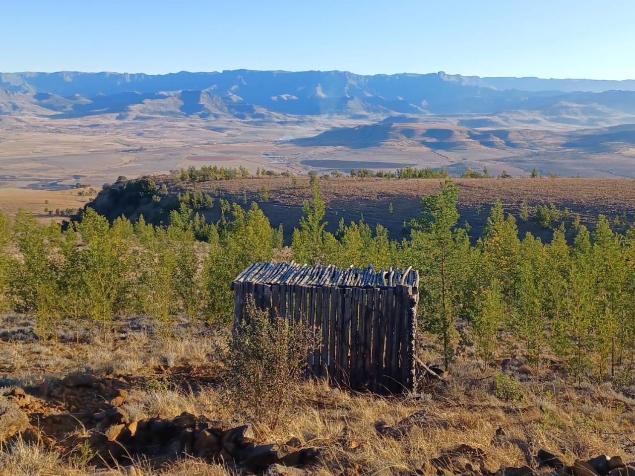 Гостьовий будинок Drakensberg Mountain Retreat Берґвілл Екстер'єр фото