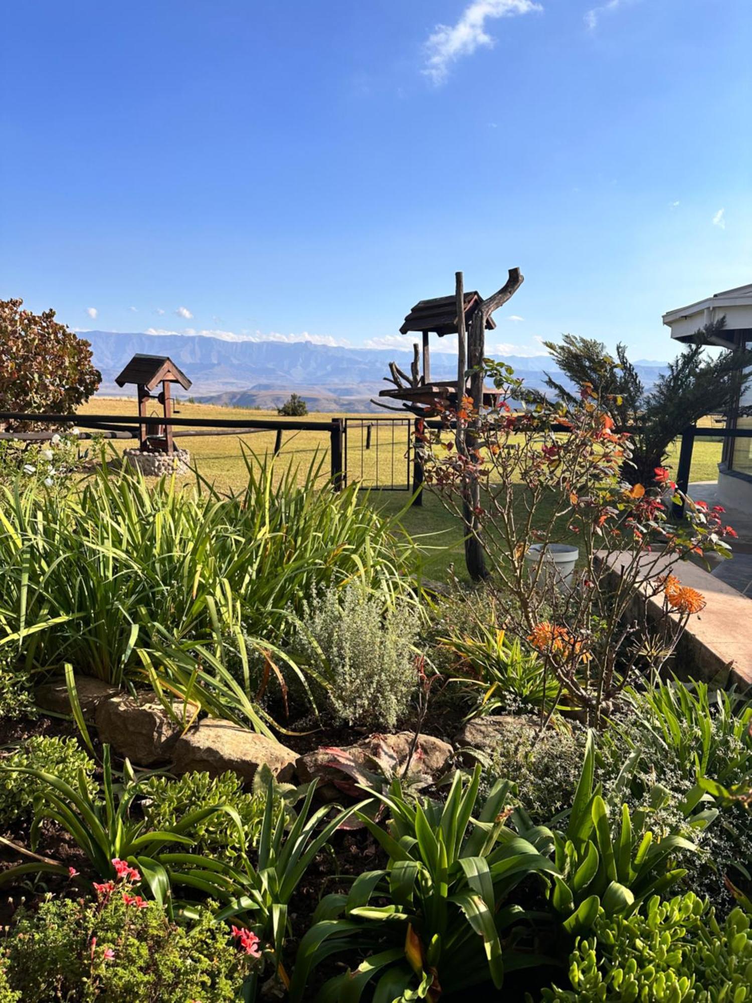 Гостьовий будинок Drakensberg Mountain Retreat Берґвілл Екстер'єр фото